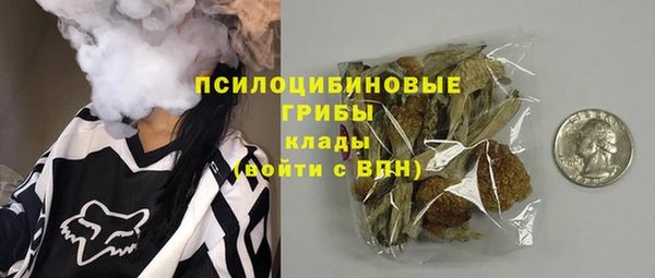 ПСИЛОЦИБИНОВЫЕ ГРИБЫ Балабаново