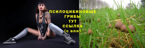 ПСИЛОЦИБИНОВЫЕ ГРИБЫ Балабаново