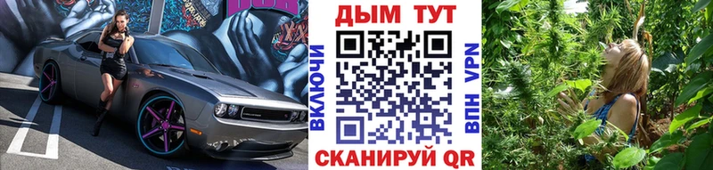 Марихуана Amnesia  дарнет шоп  Мураши 
